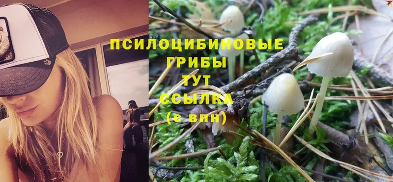 Галлюциногенные грибы Psilocybine cubensis  blacksprut сайт  Нефтекамск 